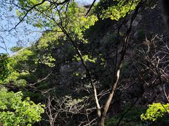 -太湖源风景区