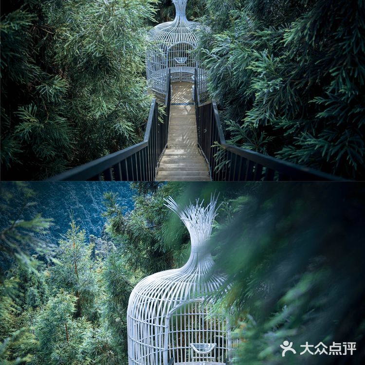 成都周边丨无边泳池360°云海☁️森林悬崖酒店