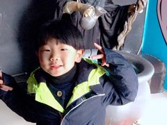 -朝阳公园游乐园