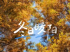 -桤木河湿地公园