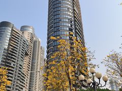 -洲头咀公园
