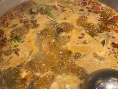 -小饕荟雅安贡椒鱼鲜馆(广福桥店)