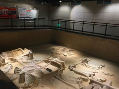 -洛阳周王城天子驾六博物馆