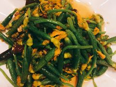 炝炒黄瓜苗-文三里屯面馆(三里屯店)