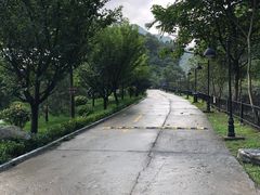 -少华山国家森林公园