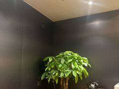 -茄子恰恰·新云南小炒(金池购物中心店)