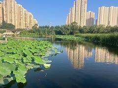 -前关湿地公园
