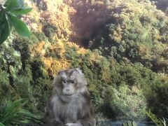 -昆明动物博物馆