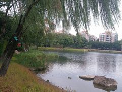 -映月湖公园