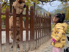 -西安秦岭野生动物园