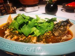 -阿五黄河大鲤鱼(纬三路店)