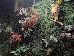 -味之绝热血美蛙鱼火锅(中坝店)