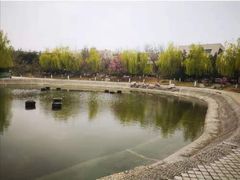 -山东理工大学