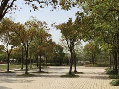 -新江湾城公园