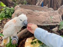 -广州长隆飞鸟乐园