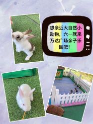 -萌宠亲子动物乐园(槐房万达店)