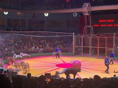 -西安秦岭野生动物园