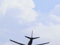 -空港花田景区