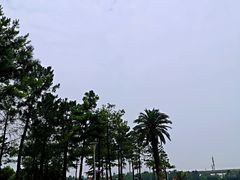 -美兰湖景区