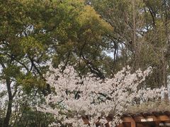 -徐家汇源景区-衡山公园