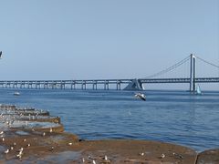 -星海广场