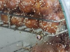 -邓记新一代糖油果子(四川煤管局供销公司职工宿舍店)