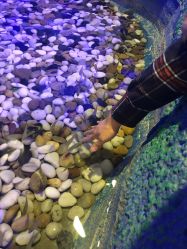 -酷嗒动物文化乐园(cutezoo西溪乐天城店)