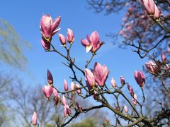 -西湖外事游船(花港观鱼码头)