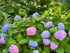 -常州古运河南大街文化旅游区-人民公园