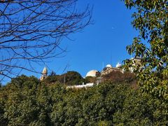 -上海佘山国家森林公园西佘山园