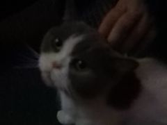 -悠米私人影院(街道口店)