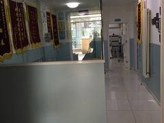 -中农大我爱我爱24h动物医院·中医针灸·猫专科·骨科医疗中心(双井店)