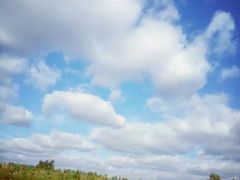 -大青沟风景区