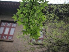 -陕西师范大学(雁塔校区)
