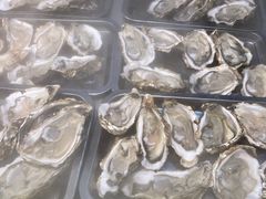 -蚝英雄鲜蚝自助专门店(长楹天街直营店)