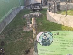 -大连森林动物园