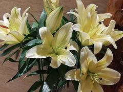 -洛阳宴·洛阳菜(南昌路店)