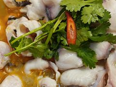-大鼎石锅鱼(春江里店)