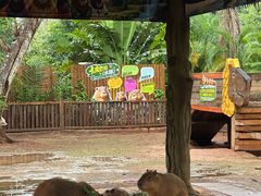 -海南热带野生动植物园