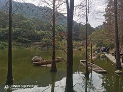 -深圳仙湖植物园