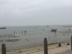 -北海金海湾红树林生态旅游区