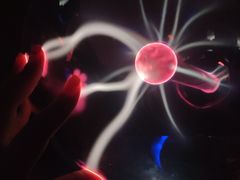 -陕西自然博物馆