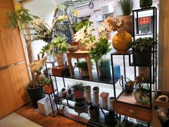 -蝶舍·MAISON PAPILLON