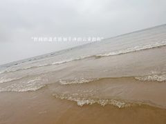-日照海滨国家森林公园