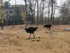 -大连森林动物园