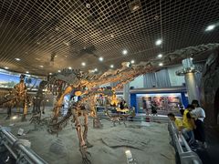 -国家自然博物馆