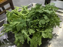 茼蒿-月圆火锅(宁海东路二店)