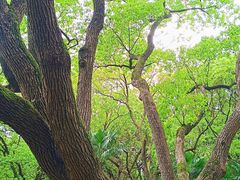 -徐家汇源景区-衡山公园