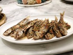 -常胜鲍鱼(吉大店)