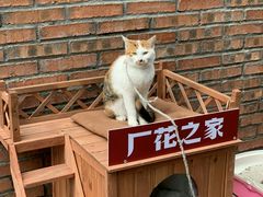 -龙厂长老火锅(抚琴店)